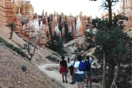 Our group move on down the hairpin trail to canyon floor