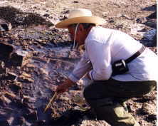 Naomi takes the water temperature at one of the hot springs