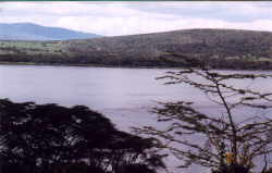 Lake Naivasha is not easy to access for photograhy