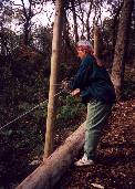 Poles in place at trail's edge