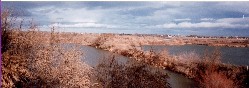 causeway to Bateman Island